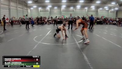 132 lbs Round 3 (8 Team) - Mason Comegys, Rebellion vs Blake Anderson, Central York Wrestling Club