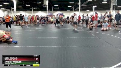 165 lbs Finals (2 Team) - Hayden Wheeler, Team 302 Gold vs Joey DiVello, Front Royal WC