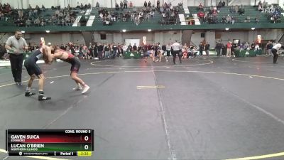 141 lbs Cons. Round 5 - Gaven Suica, Edinboro vs Lucan O`Brien, Northern Illinois