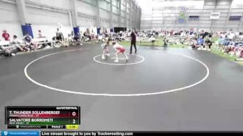 100 lbs Quarters & 1st Wb (16 Team) - T. Thunder Sollenberger, Pennsylvania Blue vs Salvatore Borrometi, New Jersey