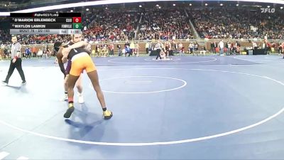 D2-165 lbs Champ. Round 1 - D`marion Erlenbeck, Clio HS vs Waylon Lamkin, Fowlerville HS