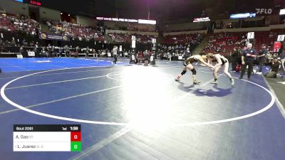 115 lbs Round Of 32 - April Gao, St. Francis vs Lola Juarez, El Dorado (SS)