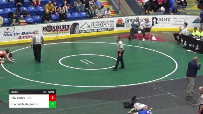 89 lbs Consi Of 16 #2 - Gabe Benyo, Hazleton vs Warren Woleslagle, Elizabeth Forward