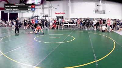 126 lbs Quarters - Grey Burnett, Burnett Trained Wrestling vs Mason Haines, Michigan