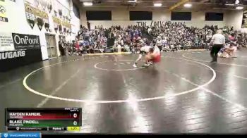 170 lbs Quarterfinal - Hayden Hamerl, Tillamook vs Blaise Pindell, Philomath