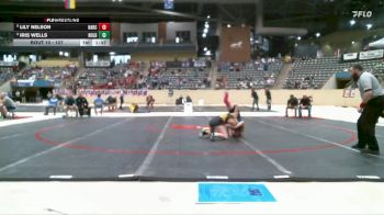 107 lbs Champ. Round 1 - Iris Wells, North Oldham vs Lily Nelson, Harrison County