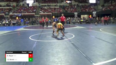 114 lbs Semifinal - David Brant, Frenchtown Wrestling Club vs Amelio Najar, Billings Wrestling Club