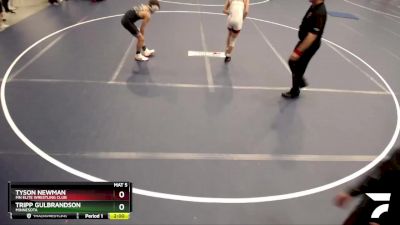 136 lbs Champ. Round 1 - Tyson Newman, MN Elite Wrestling Club vs Tripp Gulbrandson, Minnesota