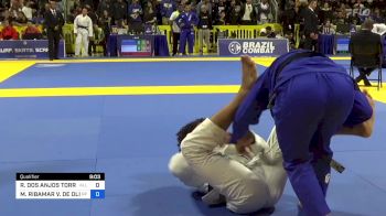 RAFAEL DOS ANJOS TORRES vs MANUEL RIBAMAR V. DE OLIVEIRA FI 2024 World Jiu-Jitsu IBJJF Championship