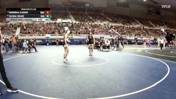 132-D2 Quarterfinal - Brylee Colwell, Eastmark High School vs Maria Elena Corrales, Douglas High School