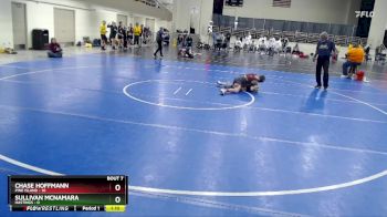 105 lbs Semis & 1st Wrestleback (8 Team) - Chase Hoffmann, Pine Island vs Sullivan McNamara, Hastings