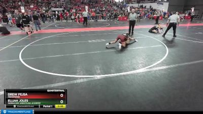 115 lbs Quarterfinal - Elijah Joles, Sarbacker Wrestling Academy vs Drew Pejsa, Menomonie