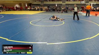 65 lbs Placement (4 Team) - Luke Beste, Waconia vs Eli Malum, Foley