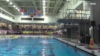 Replay: Diving - 2024 Bowdoin vs MIT | Nov 23 @ 12 PM