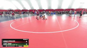 118-118 lbs Round 3 - Logan Zimbauer, Mauston vs Gabe James, Franklin Central Flashes