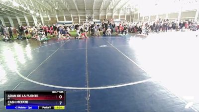 119 lbs Quarterfinal - Adan De La Fuente, ID vs Cash Mcfate, NV