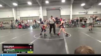 84 lbs Round 3 (6 Team) - Leland Cline, Virginia Patriots vs Evan Sheilis, 84 Athletes