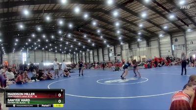 164 lbs Quarters - Maddison Miller, Team Pennsylvania Blue vs Sawyer Ward, Mayhem WC Black