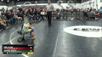 60 lbs Round 2 (8 Team) - Joel Alves, Elite Ath Club DZ (IN) vs DOMINIC ROCCO, West Shore Wrestling Club
