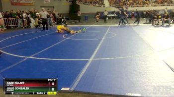 D3-113 lbs Semifinal - Julio Gonzales, Mohave vs Gage Palace, Payson