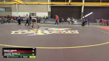 149 lbs Champ. Round 1 - Michael Petrella, Baldwin Wallace vs Bailey Gibson, Ohio Northern