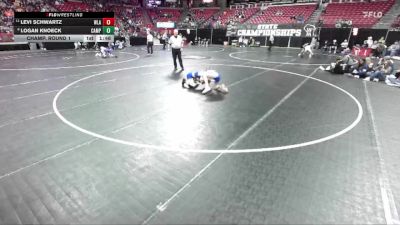 D2-106 lbs Champ. Round 1 - Levi Schwartz, Winnebago Luth. Ac. vs Logan Knoeck, Campbellsport