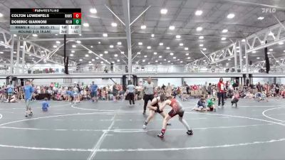 96 lbs Round 7 (8 Team) - Dominic Giannoni, Revival Jokers vs Colton Lowenfels, RedNose WS