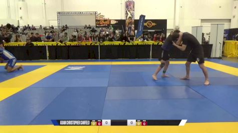 Adam Christopher Canfield vs Alex Zachery Palomin 2024 World IBJJF Jiu-Jitsu No-Gi Championship