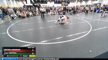 113 lbs Cons. Round 8 - Archer Anderson, MI vs Cole Gentsch, IL