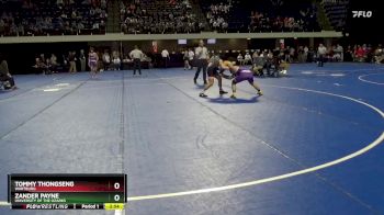 141 lbs Quarterfinal - Zander Payne, University Of The Ozarks vs Tommy Thongseng, Wartburg