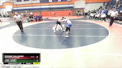 133 lbs Semifinal - Dominik Mallinder, Wisconsin-Whitewater vs Coby Haney, Millikin University