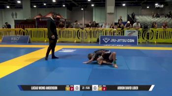 Lucas Wong Anderson vs Arron David Lider 2025 American National IBJJF Jiu-Jitsu Open Championship