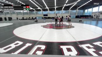 133 lbs Round 3 - Aiden Grogg, Bloomsburg vs Dillon Arrick, Binghamton