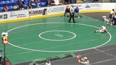 82 lbs Quarterfinal - Logan Rang, Spring Grove vs Crew Musselman, Chestnut Ridge