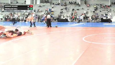 113 lbs Round Of 16 - Andrew Juliano, NY vs Trevellian Hall, NC