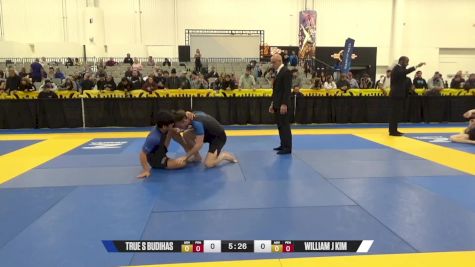 William J Kim vs True S Budihas 2024 World IBJJF Jiu-Jitsu No-Gi Championship