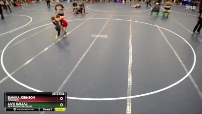 Semifinal - Livie Kallal, New Prague Wrestling vs Danika Johnson, Minnesota