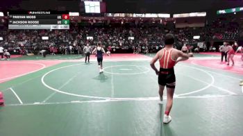 138 lbs Champ. Round 2 - Tristan Moss, AHL1 vs Jackson Roose, AYE3