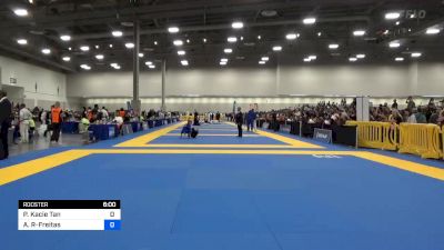 Pechrada Kacie Tan vs Amber Rymarz-Freitas 2024 World Masters IBJJF Jiu-Jitsu Championship