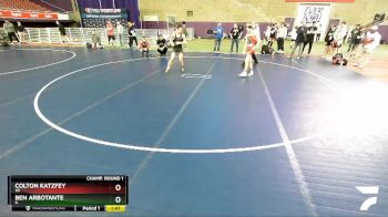 113 lbs Champ. Round 1 - Colton Katzfey, WI vs Ben Arbotante, IL