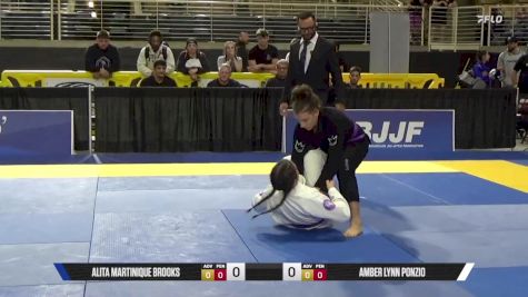 Amber Lynn Ponzio vs Alita Martinique Brooks 2025 Pan Jiu Jitsu IBJJF Championship