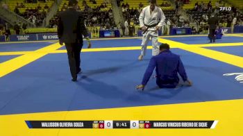Marcus Ribeiro vs Wallisson Oliveira | 2025 World Jiu-Jitsu IBJJF Championship