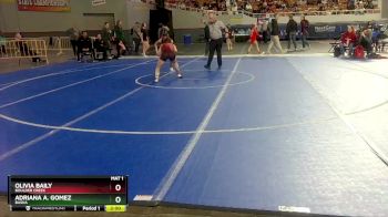 114 lbs Champ. Round 2 - Adriana A. Gomez, Basha vs Olivia Baily, Boulder Creek