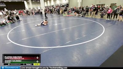 63 lbs Semifinal - Kaiden Galindez, Michigan vs Platon Cheltsov, Savage House Wrestling Club