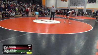 113-115 lbs Round 2 - Taylor Brejcha, Cedar Rapids Jefferson vs Rylee Worrell, Solon