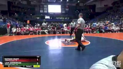 120 lbs Finals (8 Team) - Nathan Craft, Yorkville (H.S.) vs Liam Zimmerman, Lockport (Twp.)