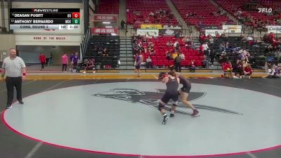 133 lbs Cons. Round 2 - Deagan Fugitt, Drury vs Anthony Bernardo, McKendree