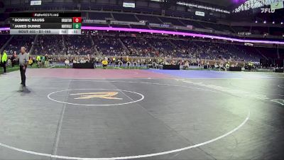 D1-165 lbs 3rd Place Match - Dominic Nauss, Brighton HS vs James Dunne, Northville HS