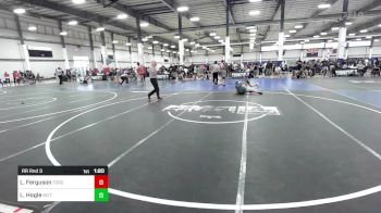 106 lbs Rr Rnd 3 - Luke Ferguson, Torotech vs Levi Hogle, No Team