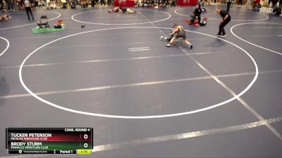 82 lbs Cons. Round 4 - Brody Sturm, Pinnacle Wrestling Club vs Tucker Peterson, MN Elite Wrestling Club